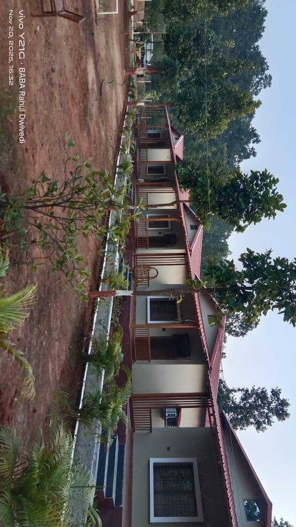 Close up of organic vegetables in a garden